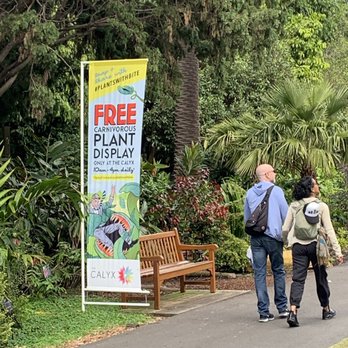 Photo of Royal Botanic Gardens - Sydney New South Wales, Australia. Carnivorous plant display at the Calyx inside the botanical garden!