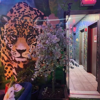 Highkey Rainforest Rooftop - Lounges Near Me - New York, New York Highkey Rainforest Rooftop - Lounges Near Me - New York, New York
