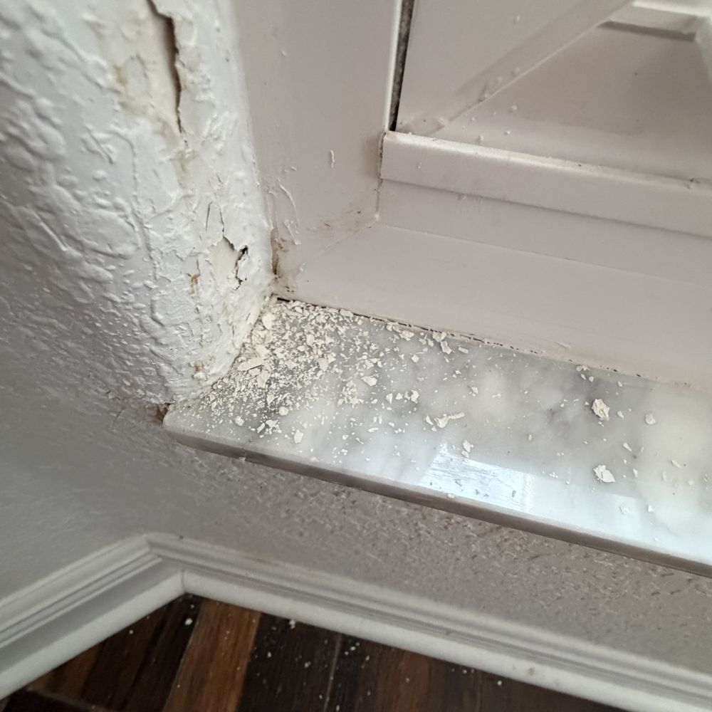 Morgan Exteriors - The water damage to the drywall inside - Windows Installation Near Me - Tampa, Florida