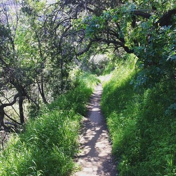Millard Canyon - Parks Near Me - Altadena, California