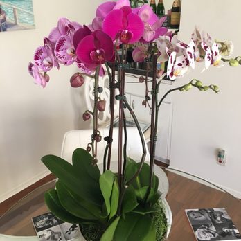 Flora Clay - Florists Near Me - Los Angeles, California Flora Clay - Florists Near Me - Los Angeles, California