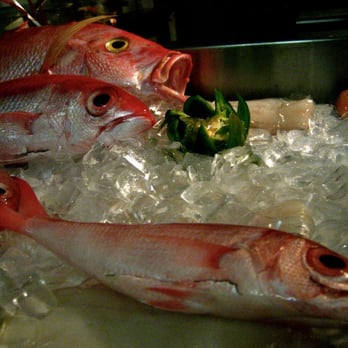 Tasca El Pescador - Tasca el Pescador: Pre-dinner shot of my red snapper - Seafood Near Me - San Juan, Puerto Rico Tasca El Pescador - Tasca el Pescador: Pre-dinner shot of my red snapper - Seafood Near Me - San Juan, Puerto Rico