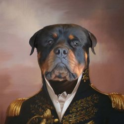 monarch pet memorial services