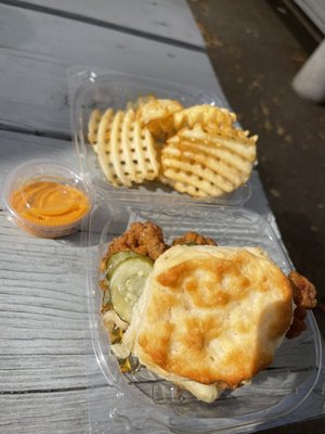 Handsome Biscuit by null