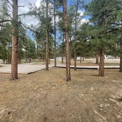 Caseys RV Hideaway - Camping site