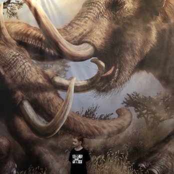 Western Science Center - Museums Near Me - Hemet, California Western Science Center - Museums Near Me - Hemet, California
