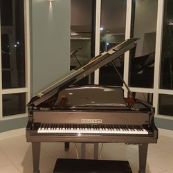 Plantation, FL - played for residents or those passing by