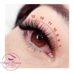 Angel Beauty - This is my lash map for a Russian Volume Cat Eye styling