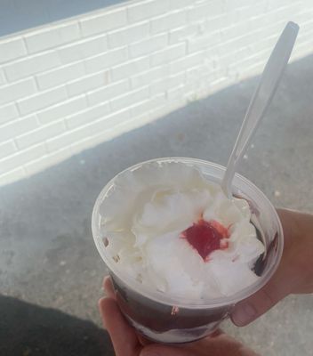 Ted Drewes Frozen Custard by null