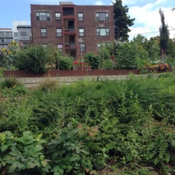 Summit Slope Park