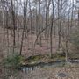 Photo of Allsopp Park