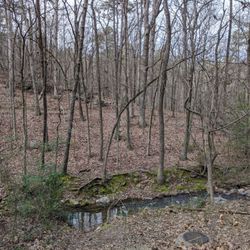 Allsopp Park