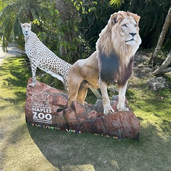 Naples Zoo - Zoos Near Me - Naples, Florida