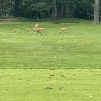 Tullymore Golf Course - Golf Near Me - Stanwood, Michigan Tullymore Golf Course - Golf Near Me - Stanwood, Michigan