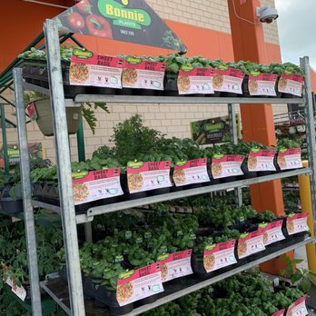 The Home Depot - Nurseries & Gardening Near Me - Hamilton, Ohio