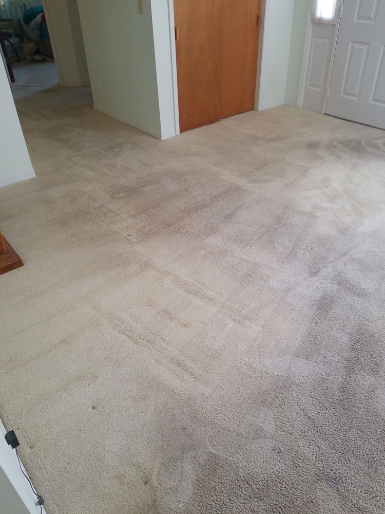 STEAMIN DEEMIN CARPET CLEANIN 16 Photos Carpet Cleaning