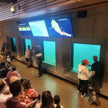 Ballard Locks Fish Ladder - Locks Salmon history lesson - Landmarks & Historical Buildings Near Me - Seattle, Washington