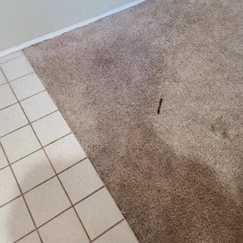 Crystal Carpet Care - That triangle area was completely ripped up off the ground - Carpet Cleaning Near Me - Sumner, Washington