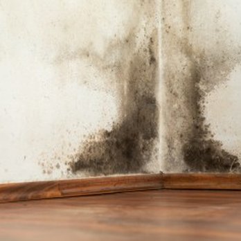 DTS Restorative Services - Carpet Cleaning Near Me - Winter Garden, Florida DTS Restorative Services - Carpet Cleaning Near Me - Winter Garden, Florida