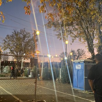 ABC Tree Farms - Pumpkin Patches Near Me - San Jose, California