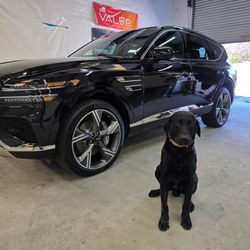 Black Lab Auto Detailing