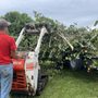 Photo of Details Tree Service