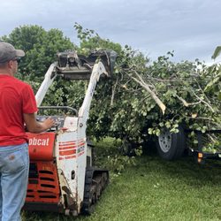 Details Tree Service