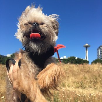 Petco - Pet Stores Near Me - Seattle, Washington