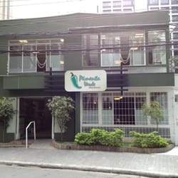 Pimenta Verde