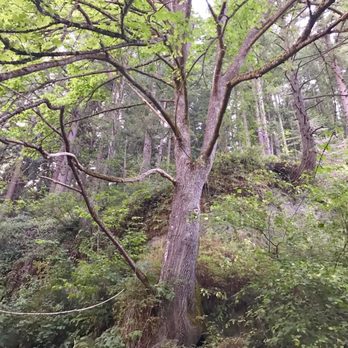 Game Farm Park - Parks Near Me - Auburn, Washington
