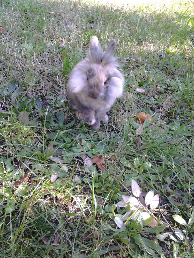 Parco di Villa Favard