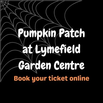 Lymefield Garden Centre, Farm Shop & Tea Room - Annual pumpkin patch raising funds for charity this October. - Nurseries & Gardening Near Me - Hyde, XGM Lymefield Garden Centre, Farm Shop & Tea Room - Annual pumpkin patch raising funds for charity this October. - Nurseries & Gardening Near Me - Hyde, XGM