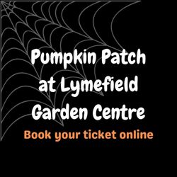 Lymefield Garden Centre, Farm Shop & Tea Room - Annual pumpkin patch raising funds for charity this October.