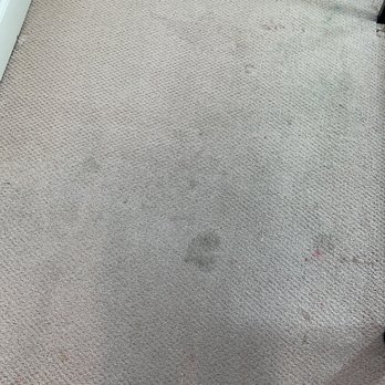Master Cleaning Services - Carpet Cleaning Near Me - Union City, California Master Cleaning Services - Carpet Cleaning Near Me - Union City, California