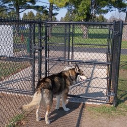 Barkley Park - The double gated entry area and young lady waiting to go home