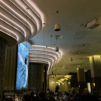 Animae - Asian Fusion Near Me - San Diego, California