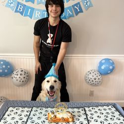 OC Paw House - Celebrating Rocky's birthday