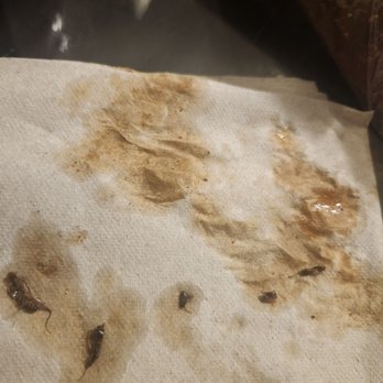 Cajun Crack'n - About 3 bugs plus more in the bag. - Seafood Near Me - Milpitas, California Cajun Crack'n - About 3 bugs plus more in the bag. - Seafood Near Me - Milpitas, California