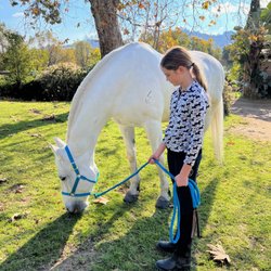 Traditional Equitation School