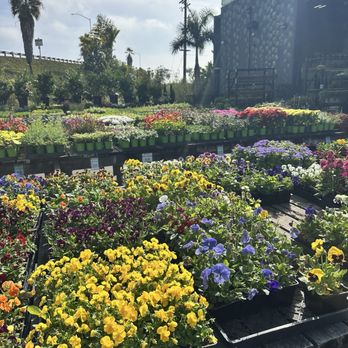 Terra Bella Nursery - Nurseries & Gardening Near Me - San Diego, California Terra Bella Nursery - Nurseries & Gardening Near Me - San Diego, California