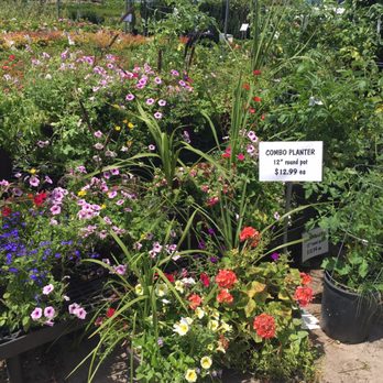 Reading Feed & Garden - Pet Stores Near Me - Cincinnati, Ohio Reading Feed & Garden - Pet Stores Near Me - Cincinnati, Ohio