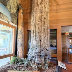 Thomas H Kuchel Visitor Center