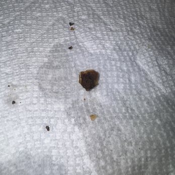 Wingstop - Dead roach. - Chicken Wings Near Me - Fontana, California Wingstop - Dead roach. - Chicken Wings Near Me - Fontana, California