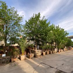 Moon Valley Nurseries