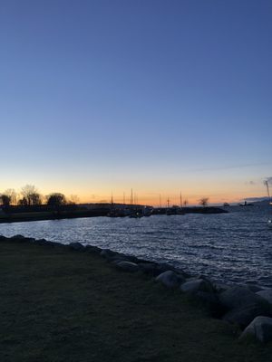 Vanier Park by null