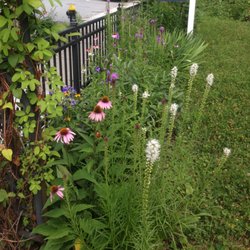 Groundswell Gardens