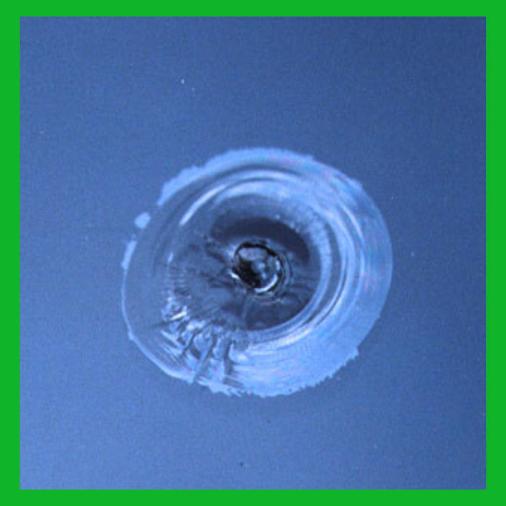 ALAMO CITY WINDSHIELD REPAIR Updated July 2024 San Antonio, Texas