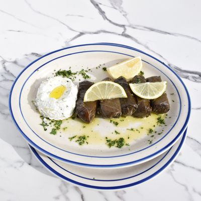 Milos Meze by null