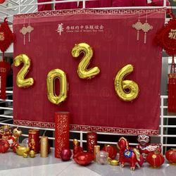 UB Center for the Arts - Lunar New Year festival