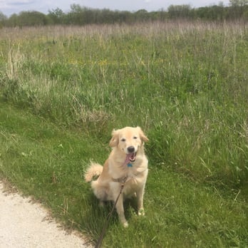 Springbrook Prairie Forest Preserve - Enjoying a walk at the forest preserve! - Parks Near Me - Naperville, Illinois